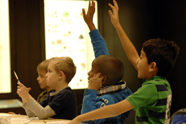 scout programs
