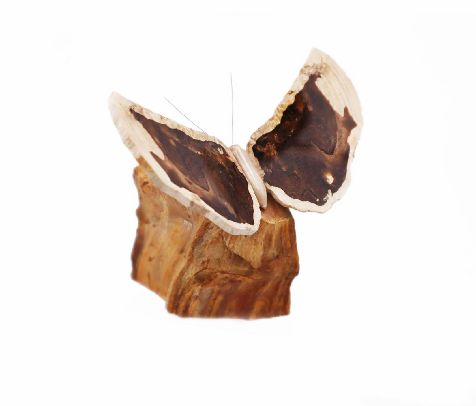 (Deaccessioned) Petrified wood butterfly carving