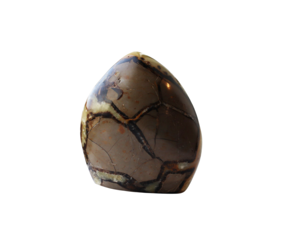 Small Septarian free form - Image 3