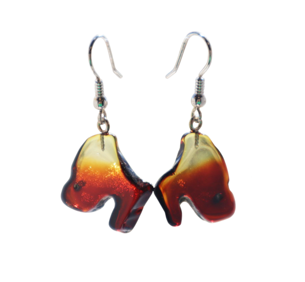 Amber slice earrings