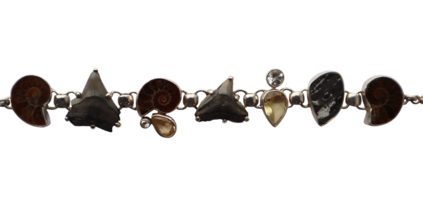 Fossil bracelet - Image 2