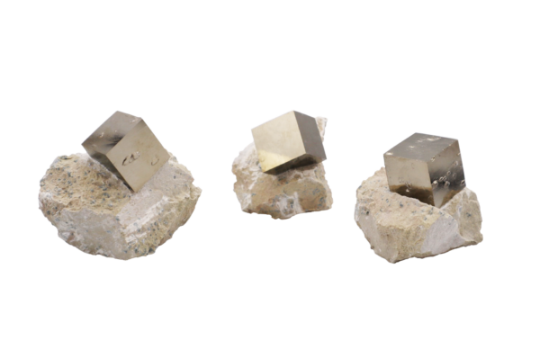 Pyrite in Marlstone