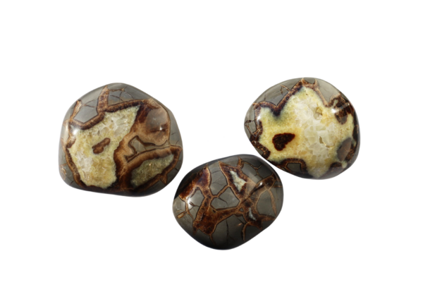 Septarian Nodules