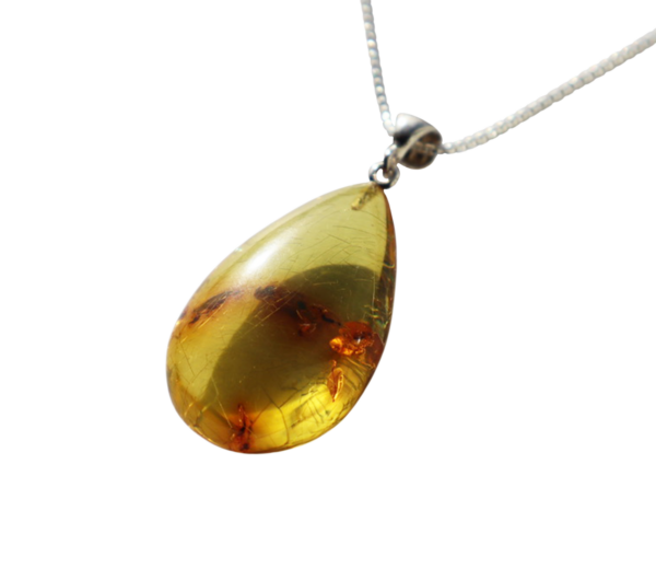 Amber teardrop pendant - Image 2