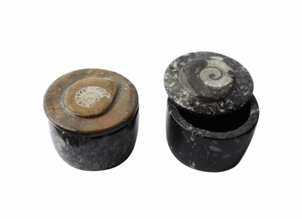 Fossil Stone Marble box