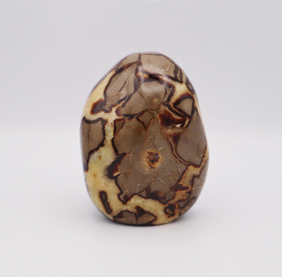 Septarian Free Form - The Lizzadro Museum of Lapidary Art