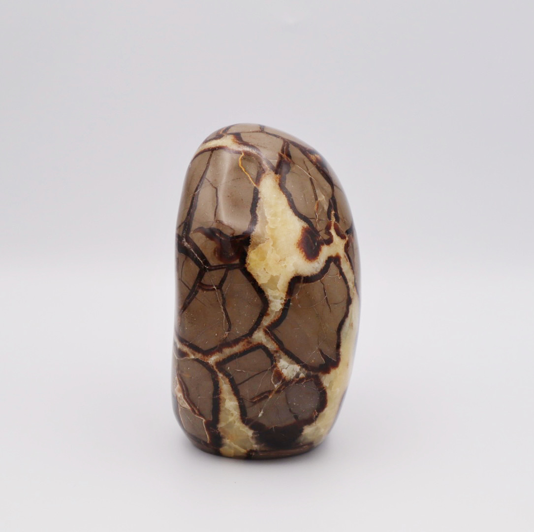 Septarian Free Form - The Lizzadro Museum of Lapidary Art