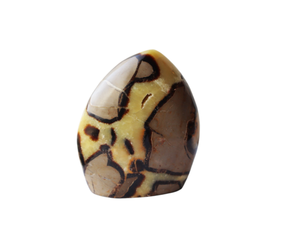 Small Septarian free form