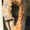Citrine Geode on Stand-XL - Image 2