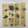 Fossil Collection - Image 2