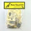Fossil Collection - Image 3