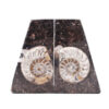Fossil Stone Marble bookend