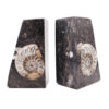 Fossil Stone Marble bookend - Image 3