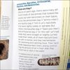 Fossils For Kids - Image 3