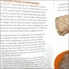 Fossils For Kids - Image 4