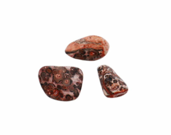 Leopardskin Jasper