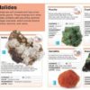 Pocket Genius Rock & Minerals - Image 3